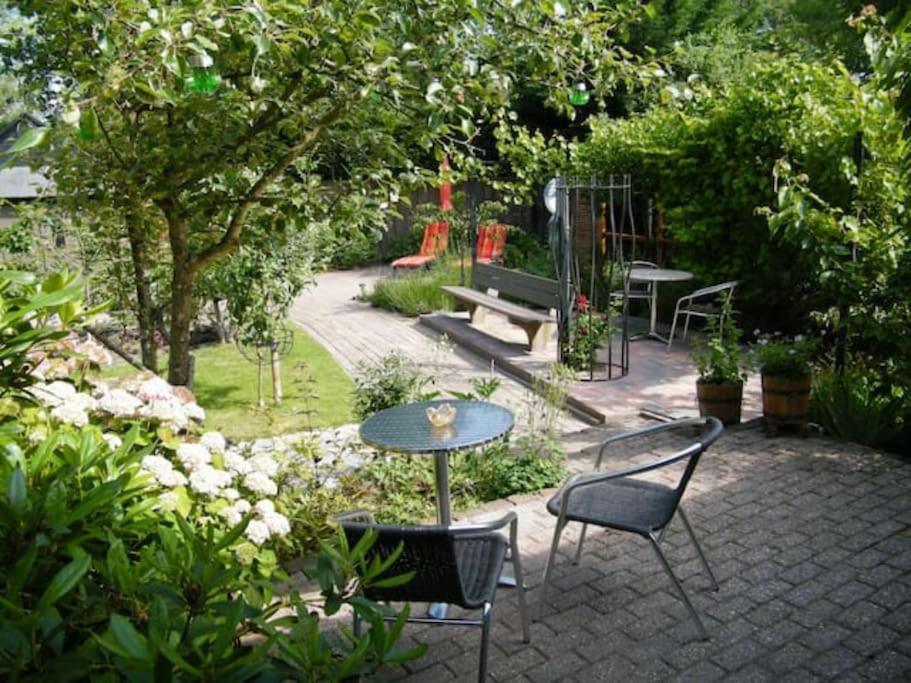 Studio Bed & Strand Scharendijke Exteriör bild