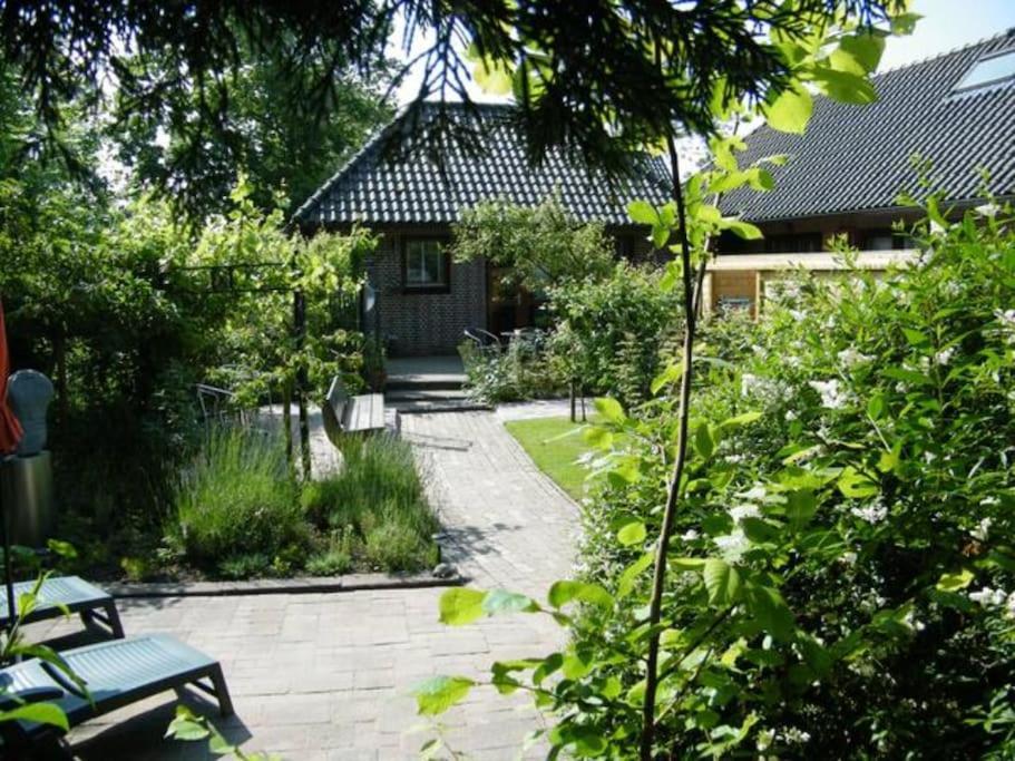 Studio Bed & Strand Scharendijke Exteriör bild